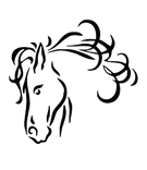 Twisted Mane Creations